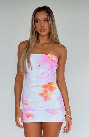 White Fox Mind Games Strapless Mini Women Dress Blossoming Orchids | NZ SQWV-86092